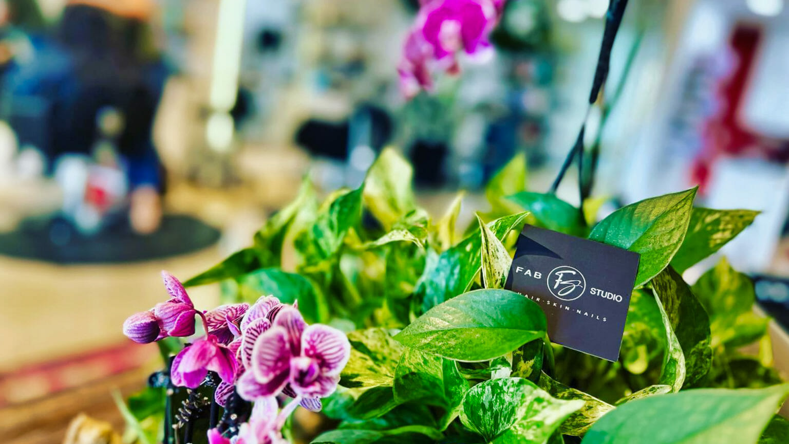 Home Fab Studio Luxury Hair Salon Downtown Naples 412 Bayfront